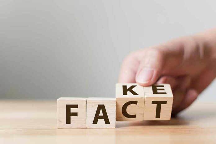Fact and Fake written on wooden cube blocks.