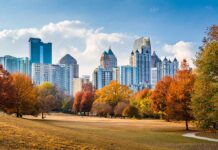 City skyline seen from a park in autumn.