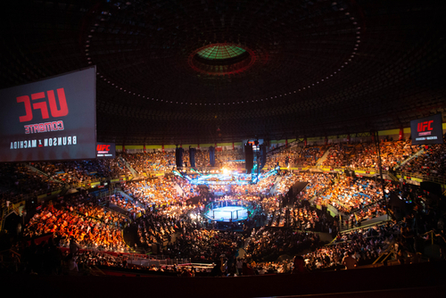 Arena filled with spectators at a UFC event.