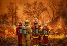 Firefighters battling a forest fire.